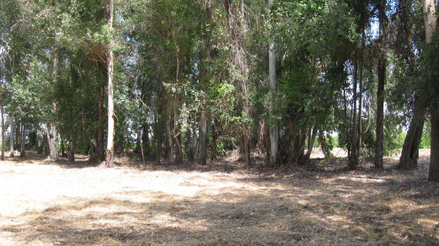 6778 Nebraska Ave, Selma, CA 93662