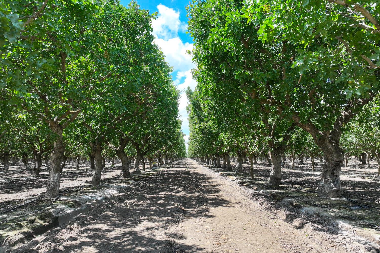 0 0 Kimberlina Rd, Shafter, CA 93263