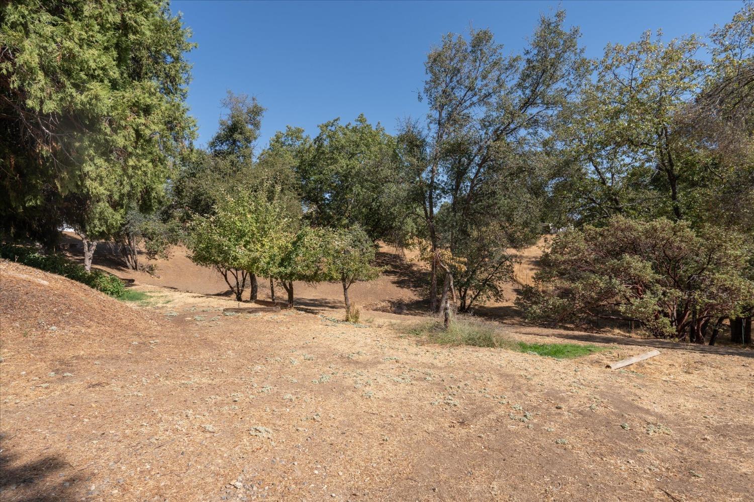 58467 Road 601, Ahwahnee, CA 93601