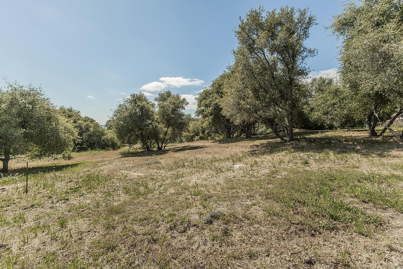 35073 Auberry Rd, Auberry, CA 93602