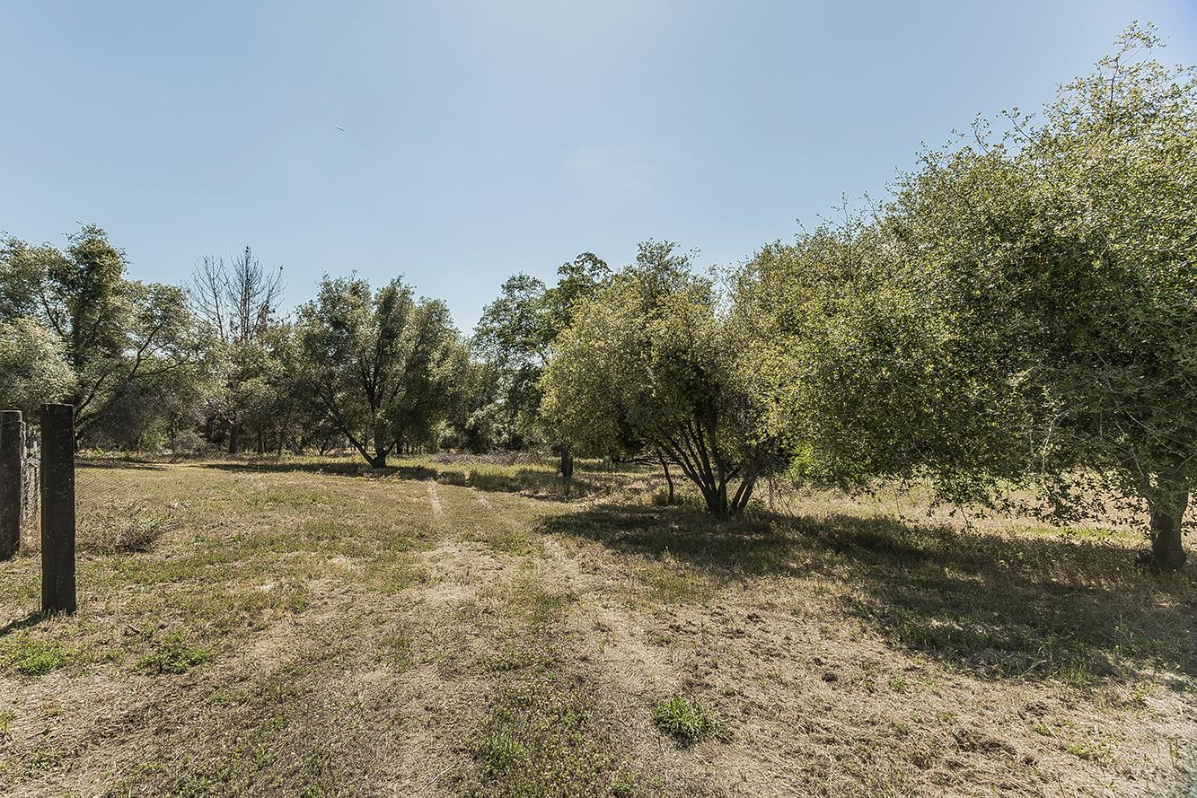 35073 Auberry Rd, Auberry, CA 93602