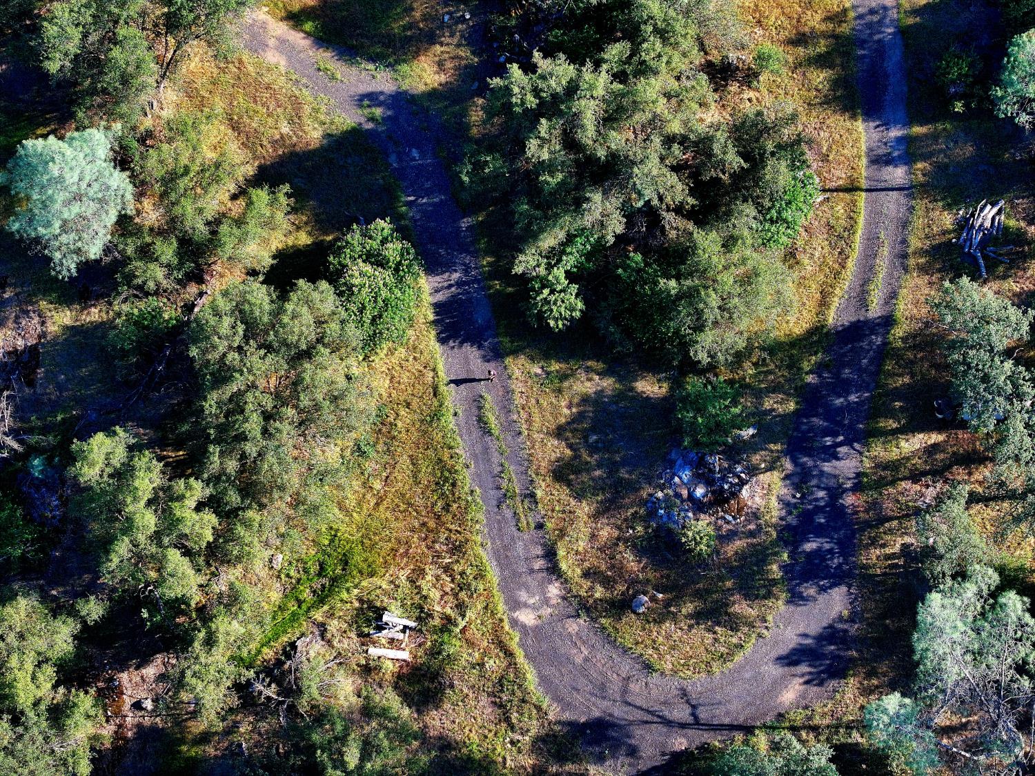 1 River Knolls Pl, Coarsegold, CA 93614