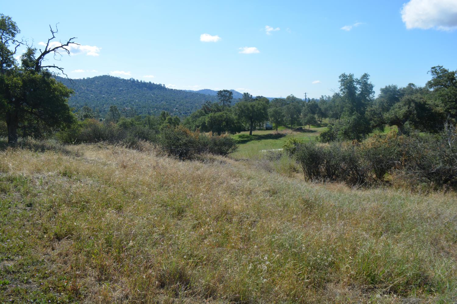 1 Corral Dr, Coarsegold, CA 93614
