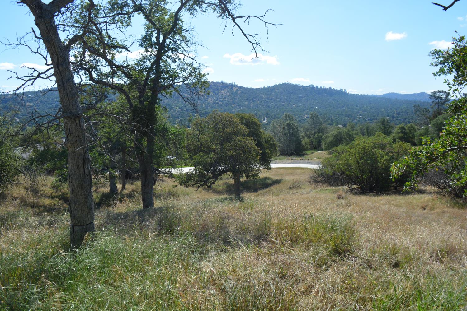1 Corral Dr, Coarsegold, CA 93614