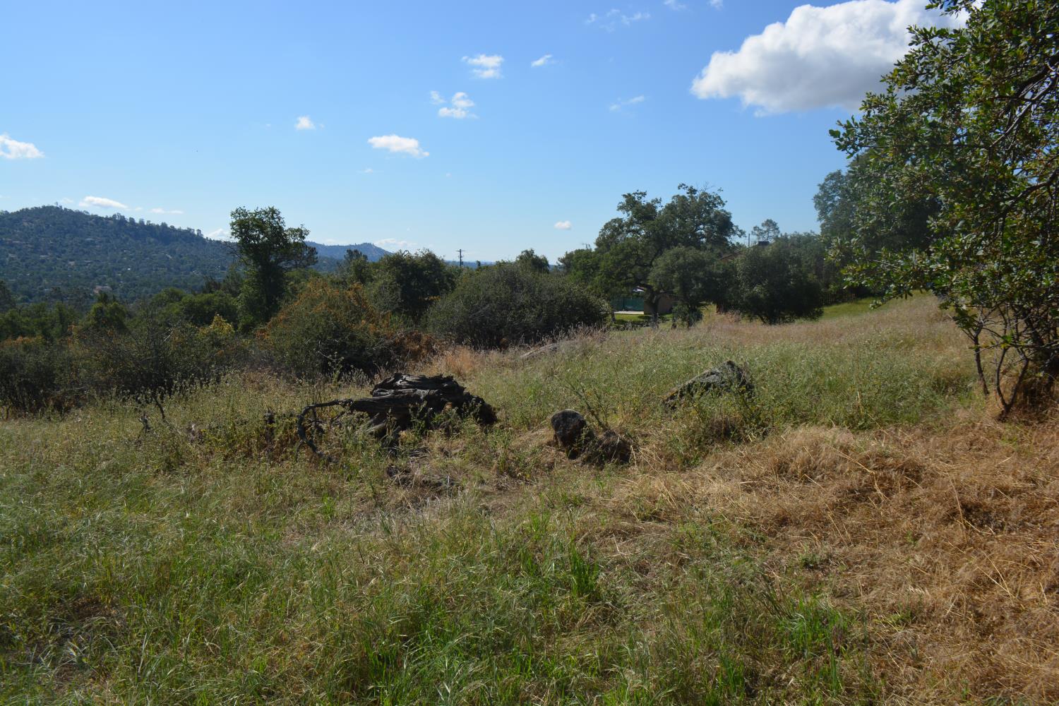 1 Corral Dr, Coarsegold, CA 93614