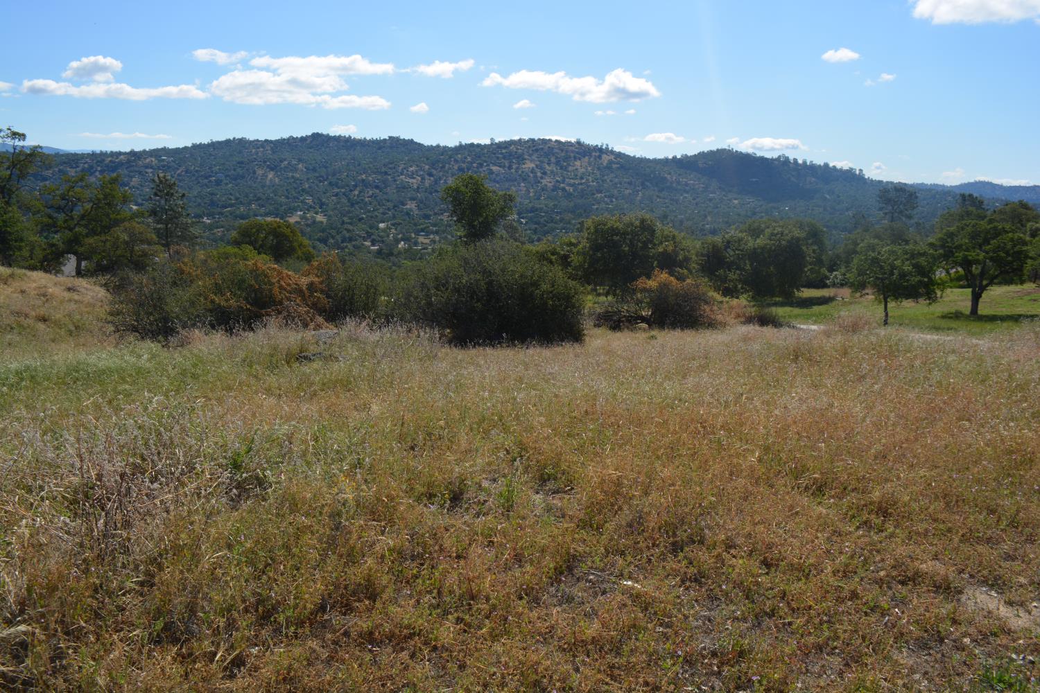1 Corral Dr, Coarsegold, CA 93614
