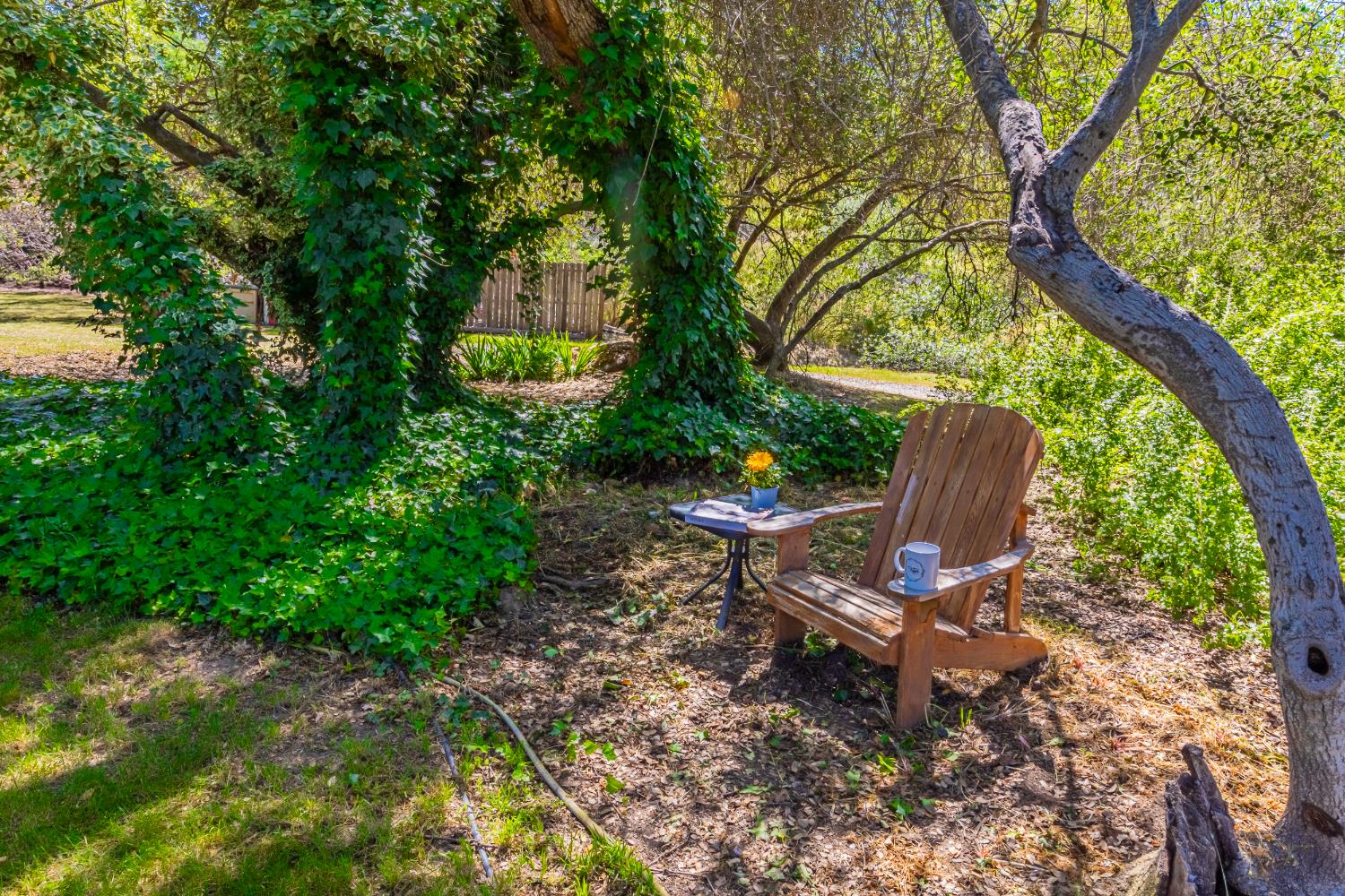46320 Oonay Nation Rd, Coarsegold, CA 93614
