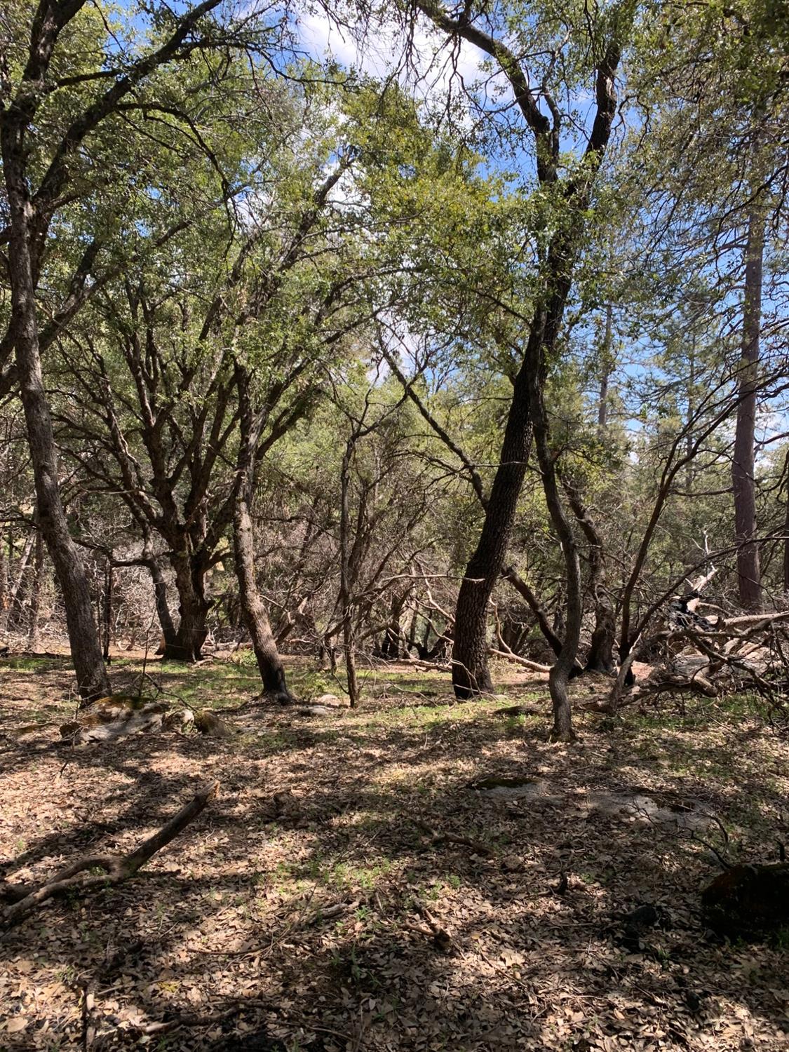0 0 Auberry Road, Auberry, CA 93602