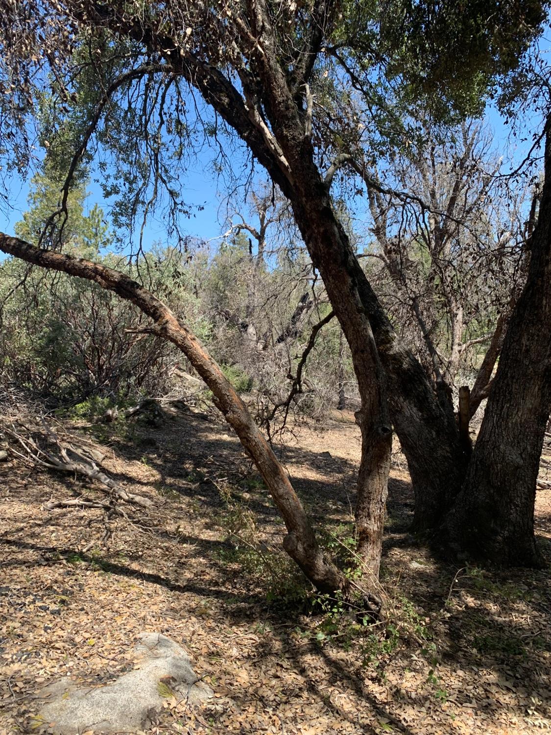 0 0 Auberry Road, Auberry, CA 93602