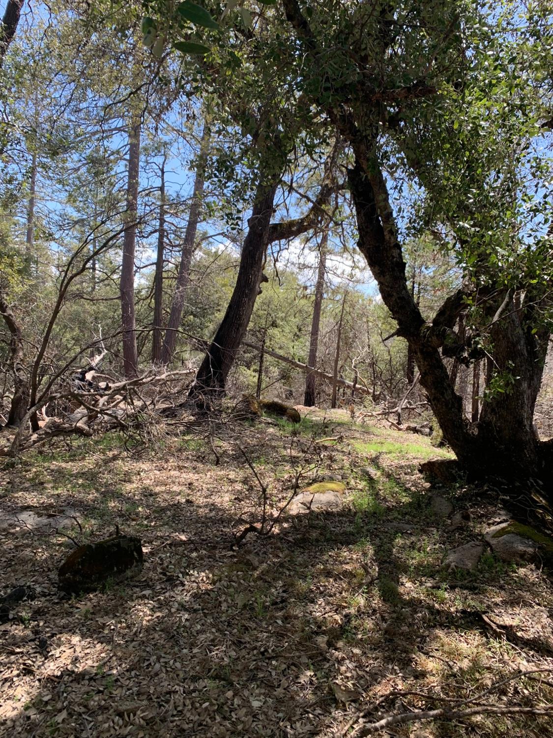 0 0 Auberry Road, Auberry, CA 93602