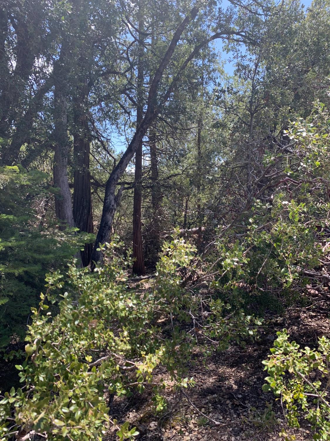 0 0 Auberry Road, Auberry, CA 93602