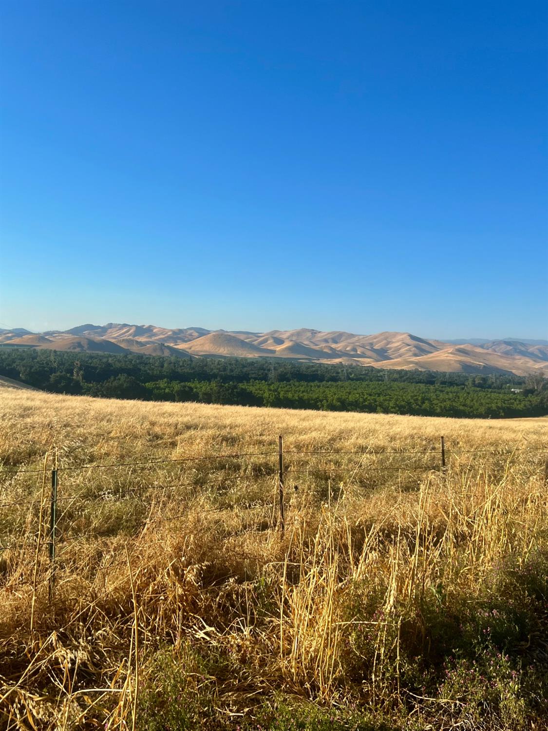 1786 N Piedra, Sanger, CA 93657