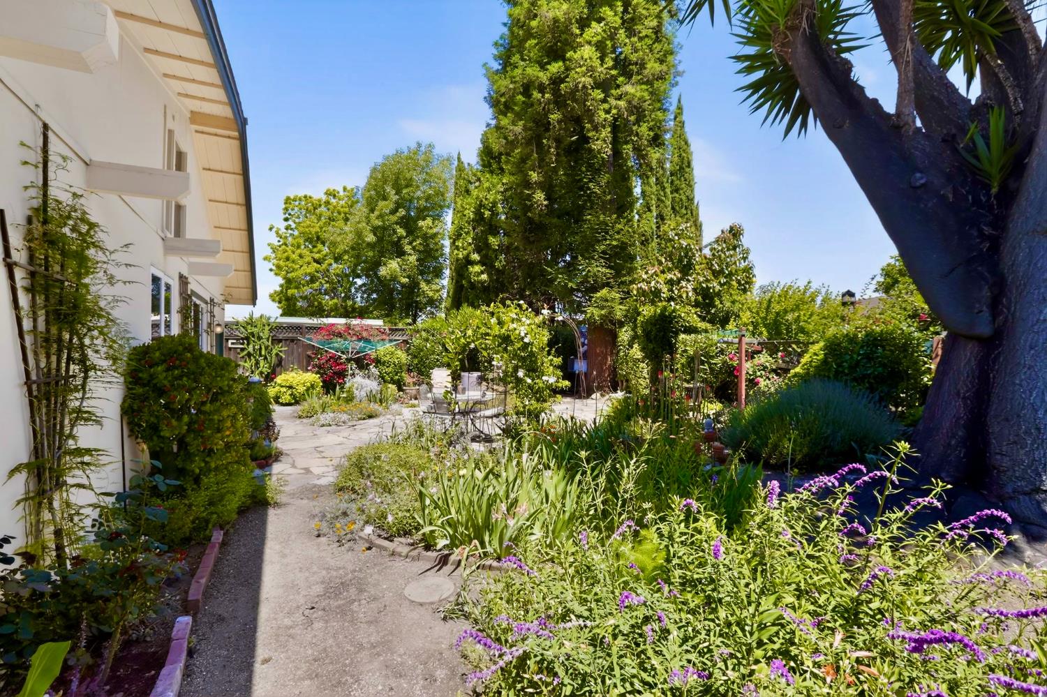 466 Wilson, Sunnyvale, CA 94086