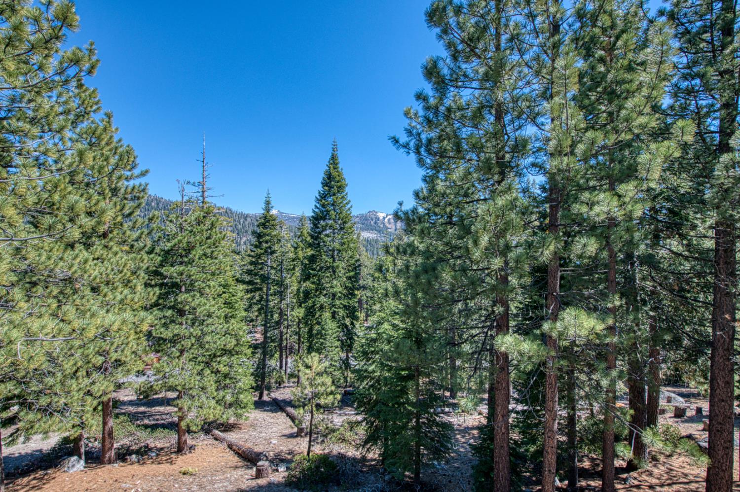 63223 Huntington Vista Rd, Lakeshore, CA 93634