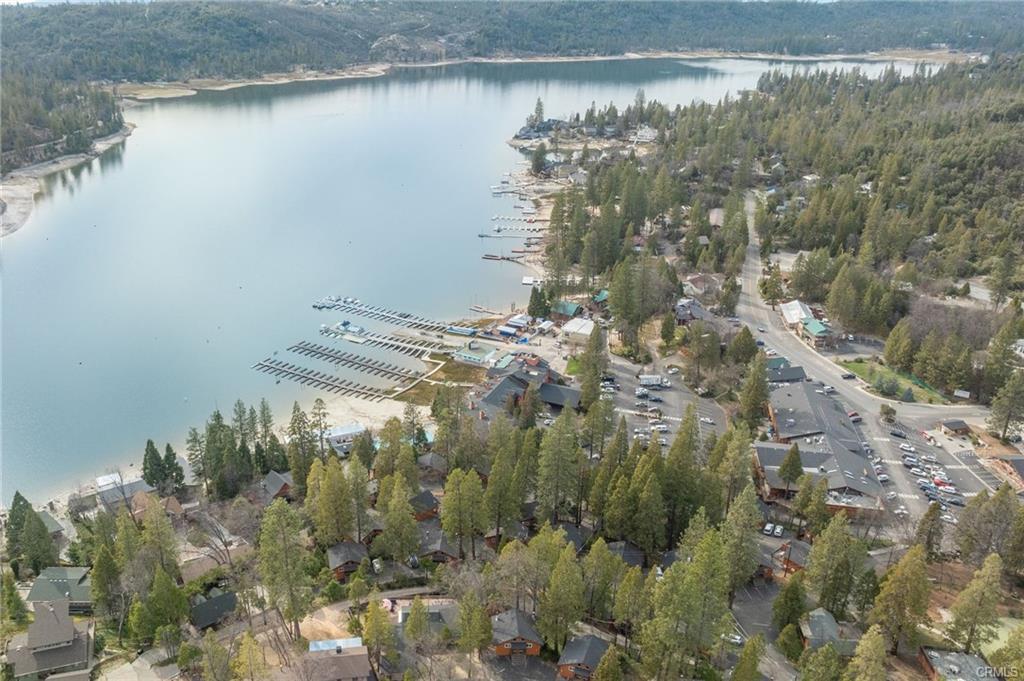 39173 Ski Slope, Bass Lake, CA 93604