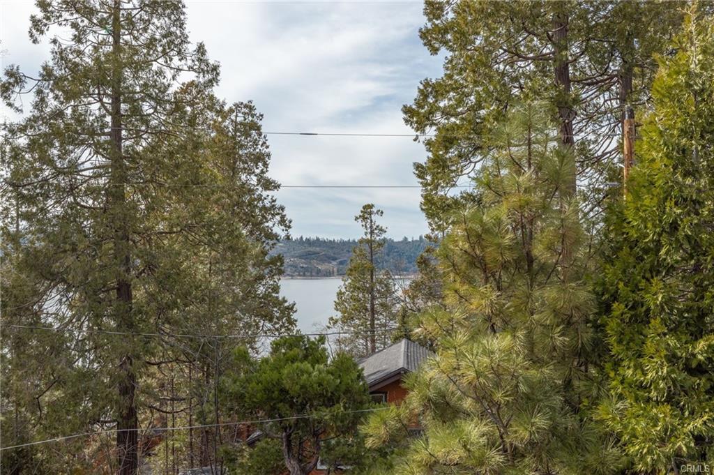 39173 Ski Slope, Bass Lake, CA 93604