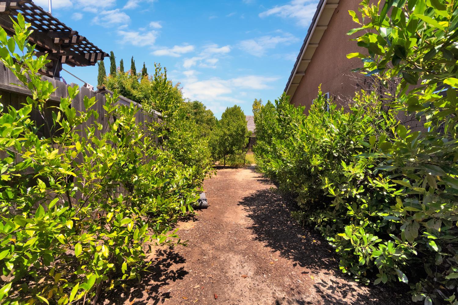 3245 Lexington Ave, Clovis, CA 93619
