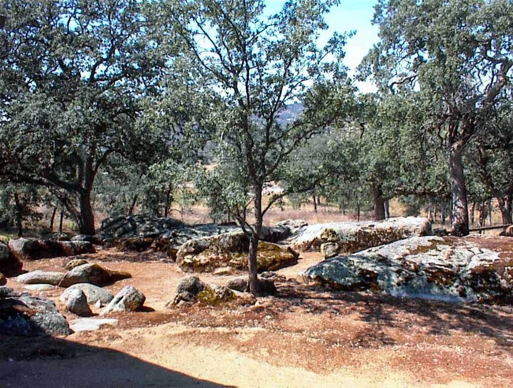 32860 George Smith Rd, Yokuts Valley, CA 93675