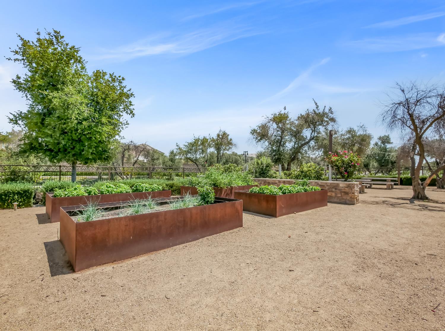 384 Sentinel Dr, Madera, CA 93636