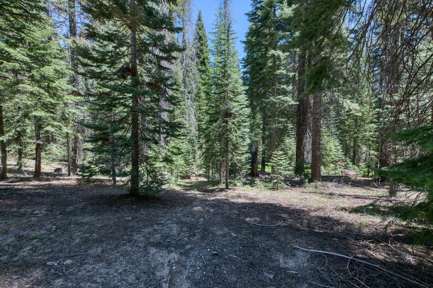 62784 Huntington Lake Rd #5, Lakeshore, CA 93634