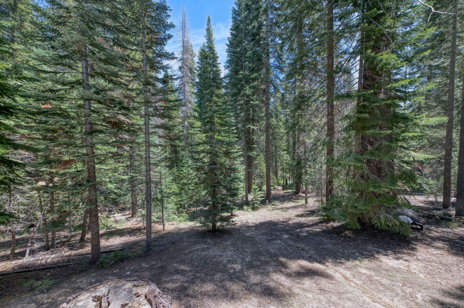 62784 Huntington Lake Rd #5, Lakeshore, CA 93634