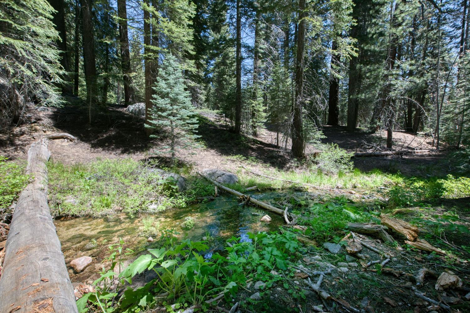 62784 Huntington Lake Rd #5, Lakeshore, CA 93634
