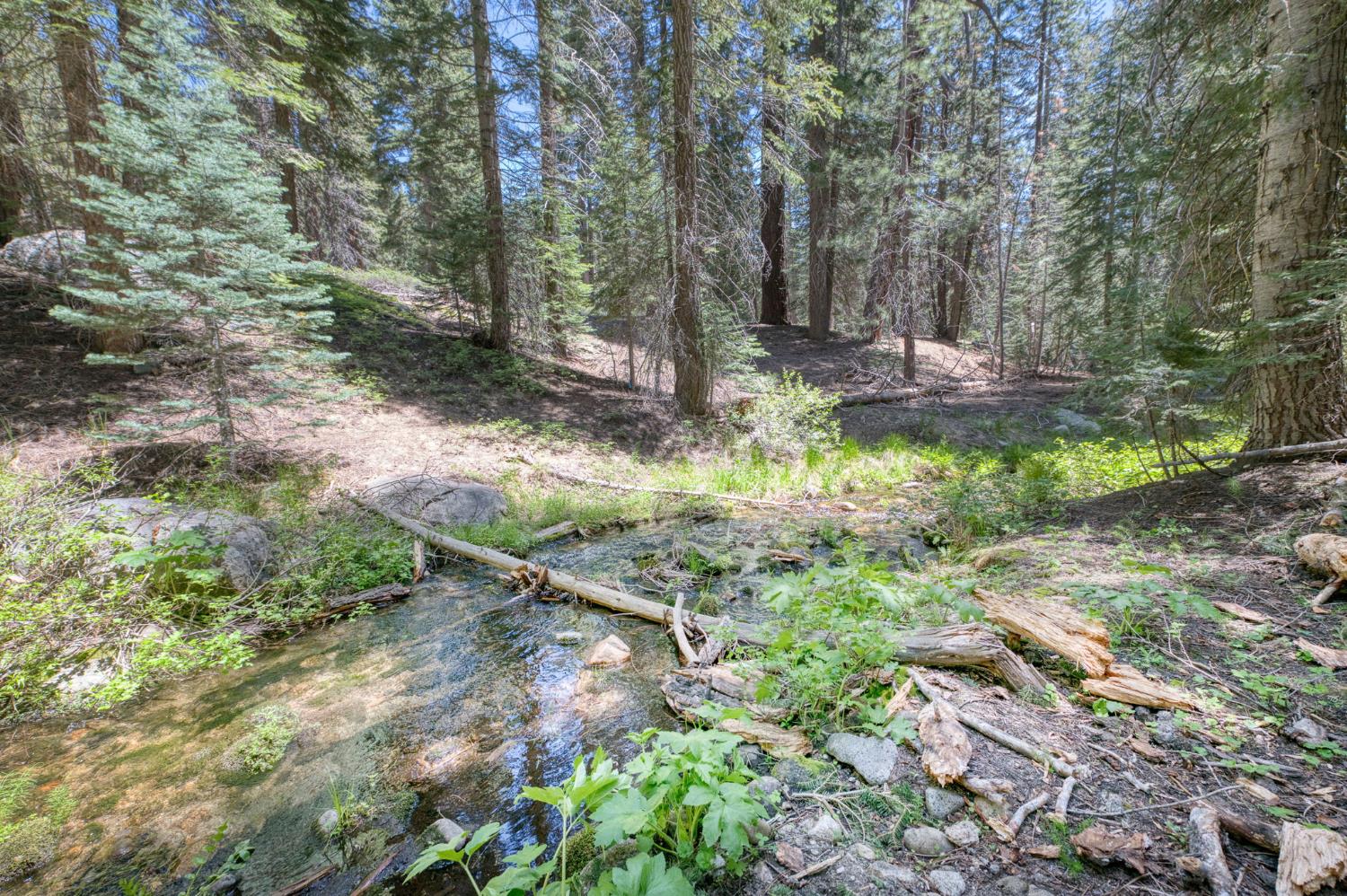 62784 Huntington Lake Rd #5, Lakeshore, CA 93634
