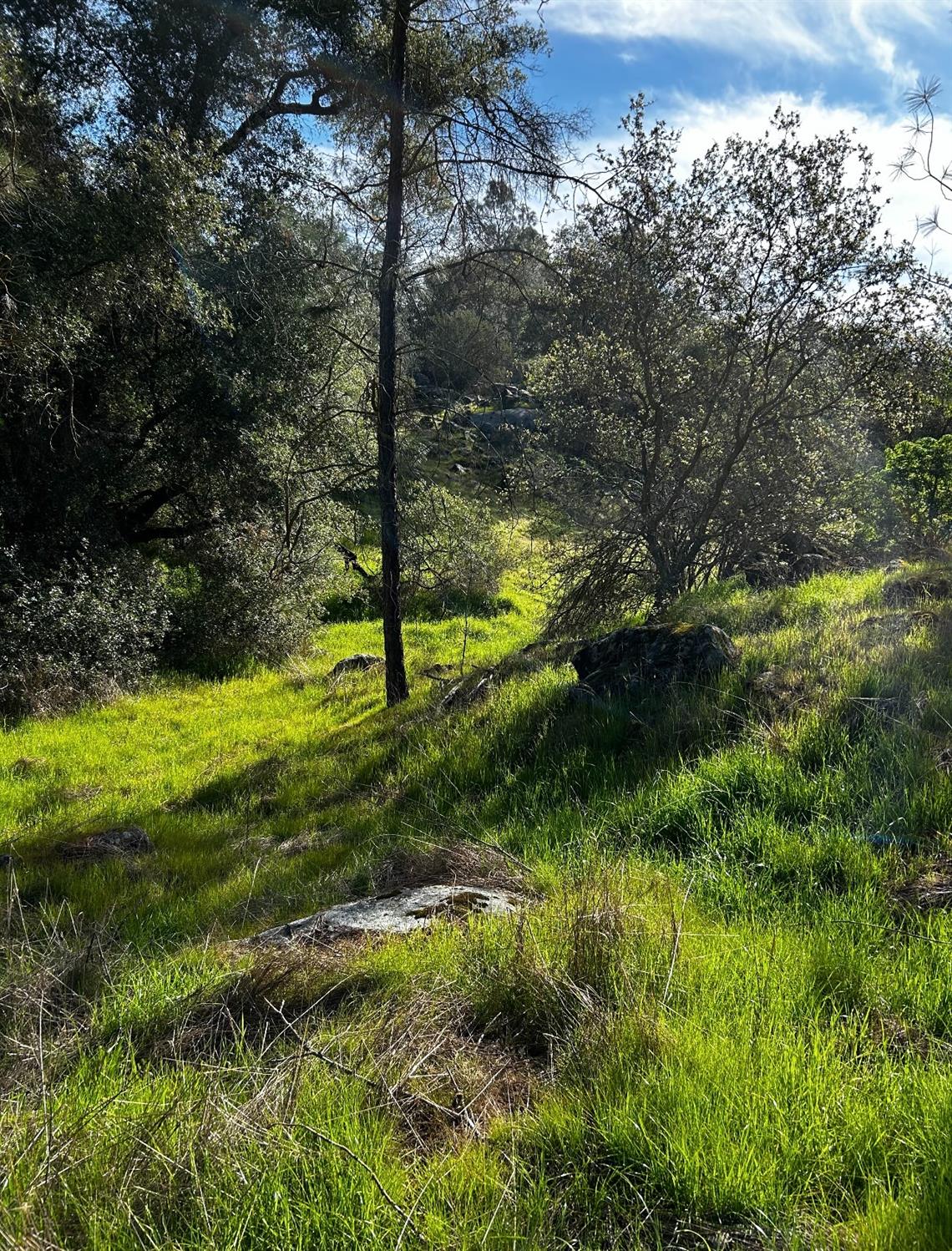2229 Yosemite Lakes Park, Coarsegold, CA 93614