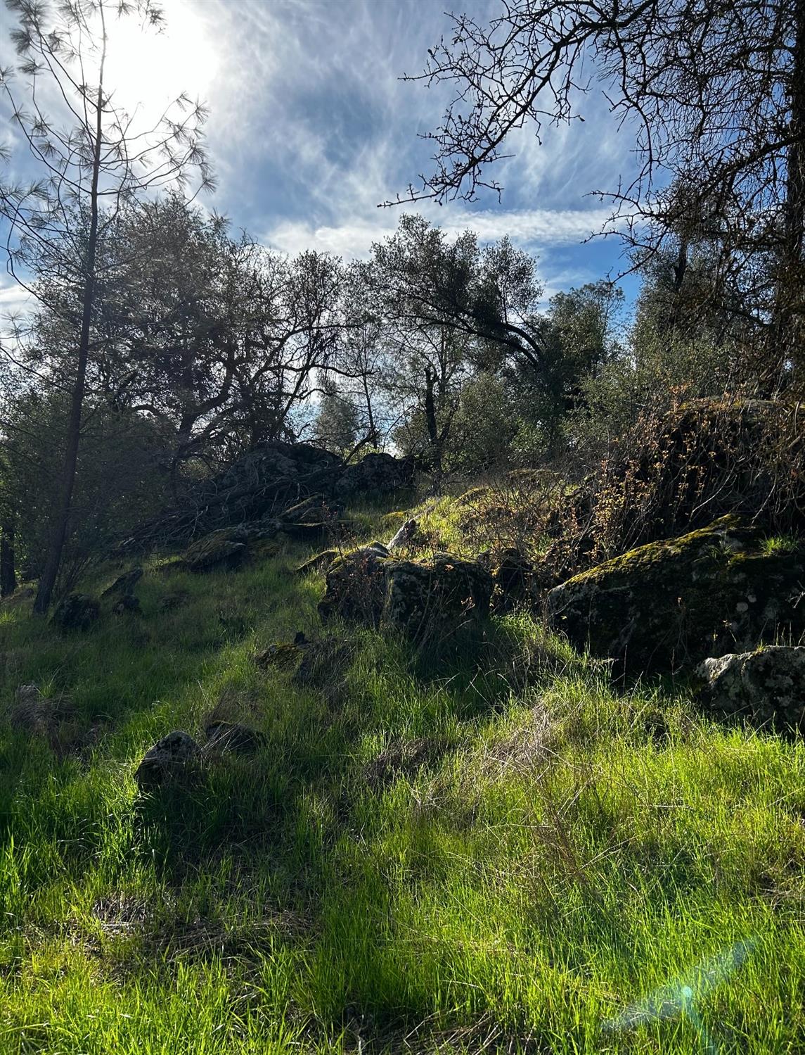2229 Yosemite Lakes Park, Coarsegold, CA 93614