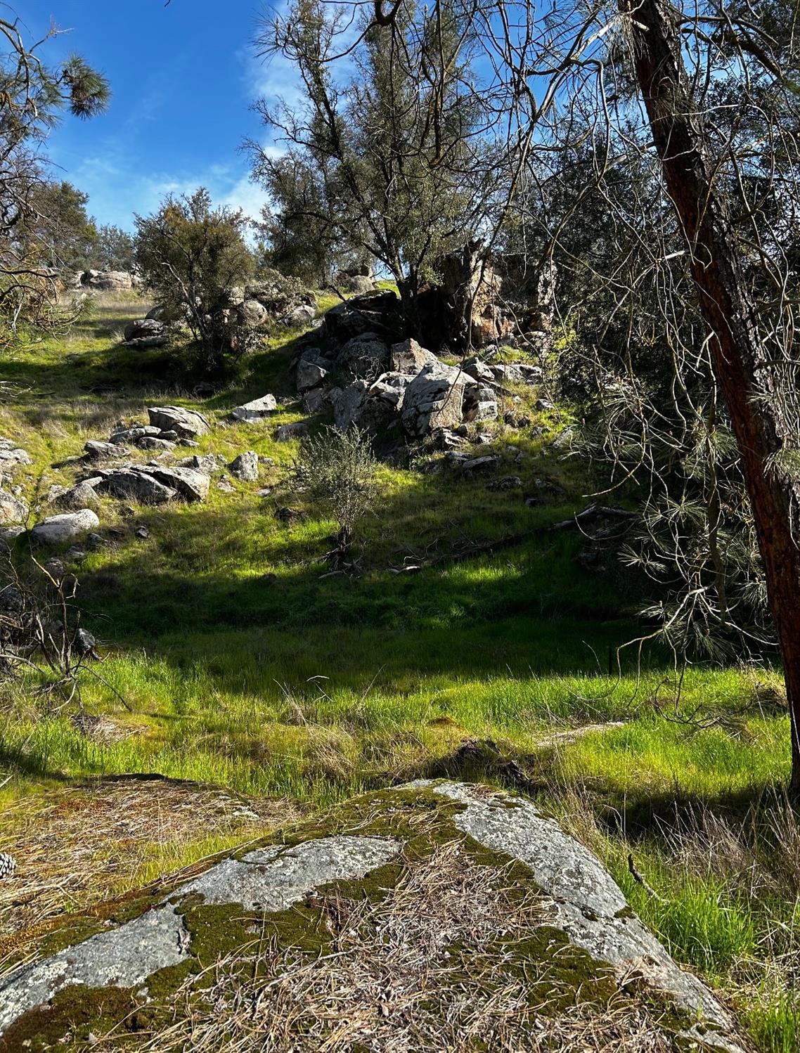 2229 Yosemite Lakes Park, Coarsegold, CA 93614
