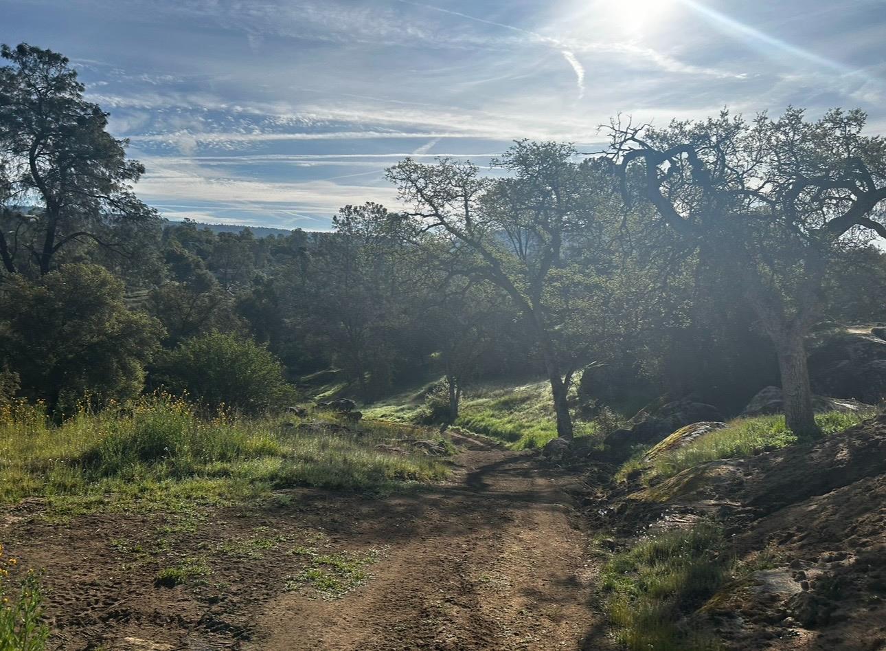 2229 Yosemite Lakes Park, Coarsegold, CA 93614