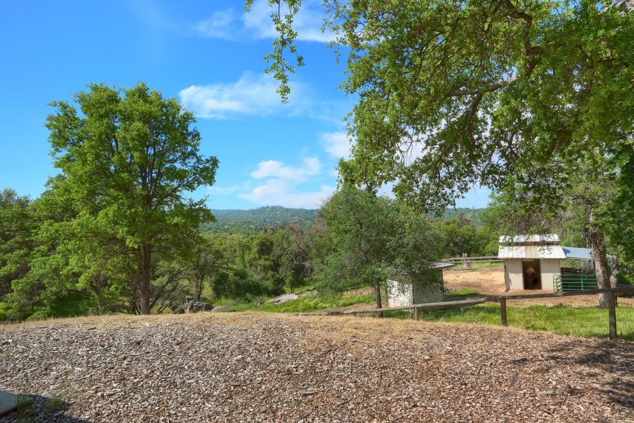 32028 Cattle Way, Coarsegold, CA 93614