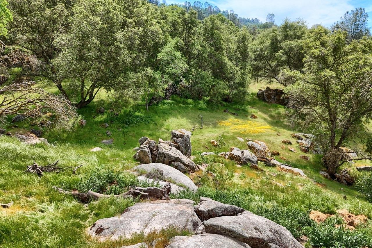 32028 Cattle Way, Coarsegold, CA 93614