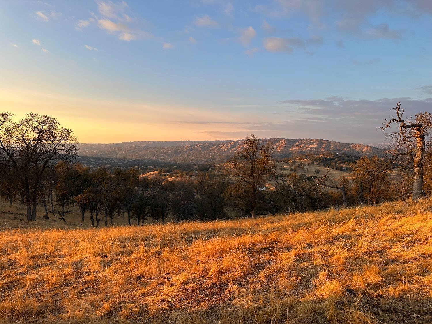 0 0 207 Rd, Coarsegold, CA 93614