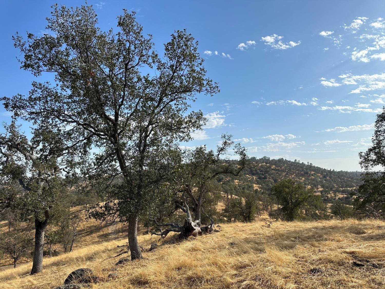 0 0 207 Rd, Coarsegold, CA 93614