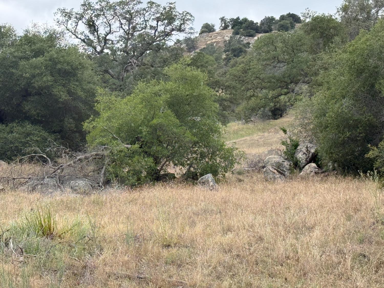 2112 N Dome, Coarsegold, CA 93614