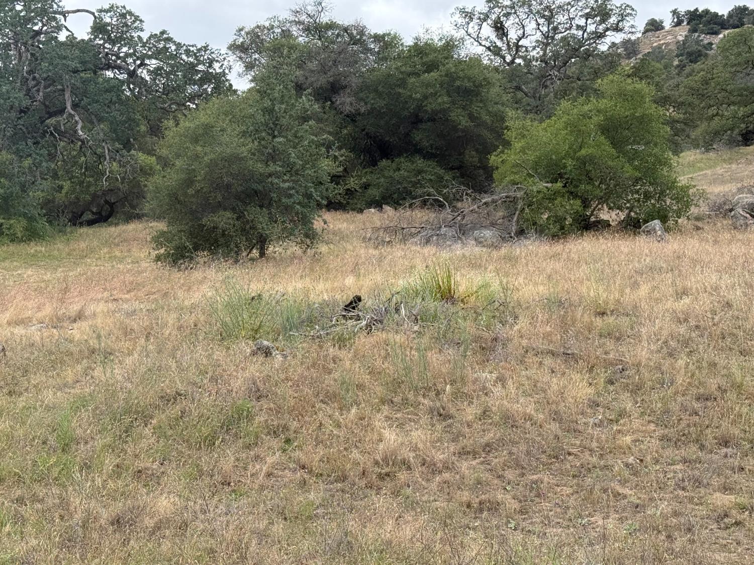 2112 N Dome, Coarsegold, CA 93614