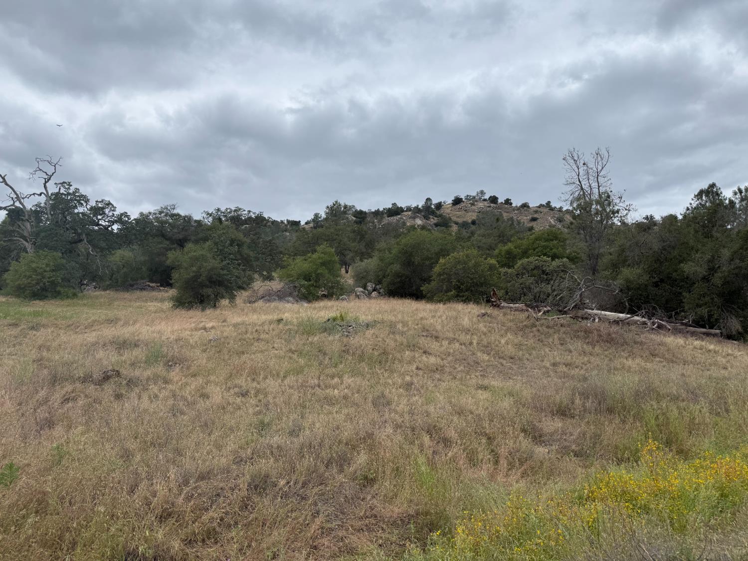 2112 N Dome, Coarsegold, CA 93614