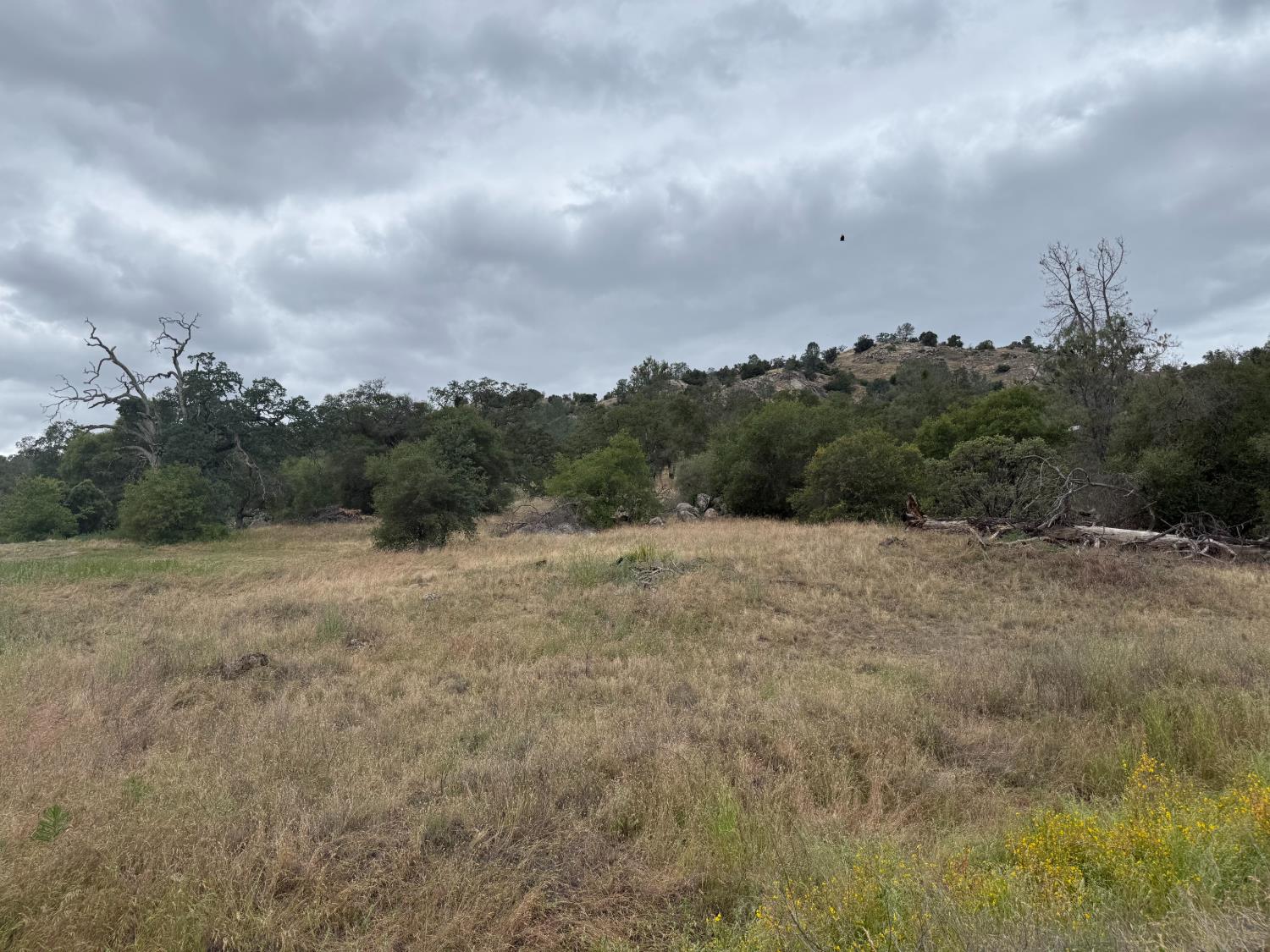 2112 N Dome, Coarsegold, CA 93614