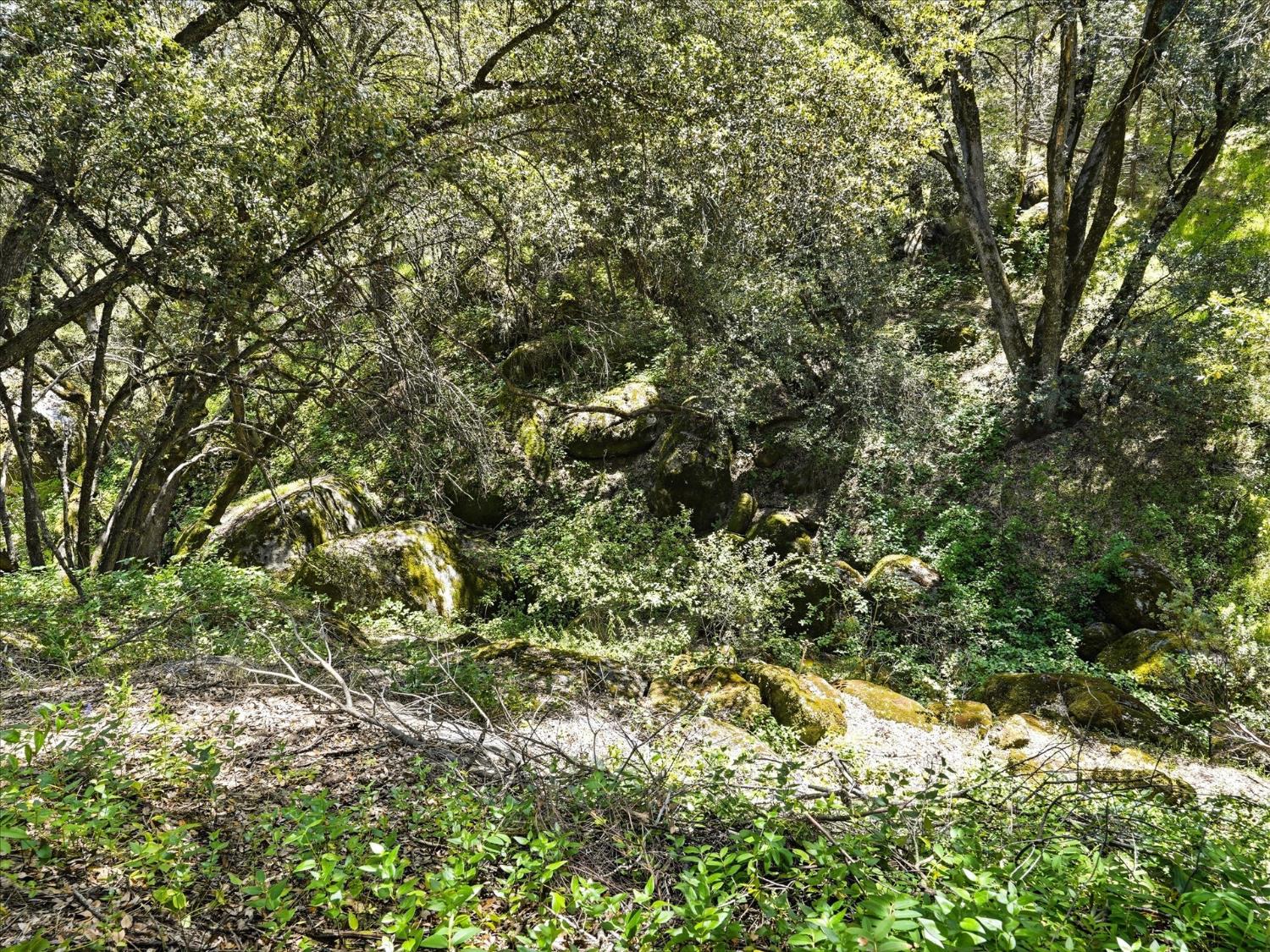 49628 Stillmeadow Dr, Oakhurst, CA 93644