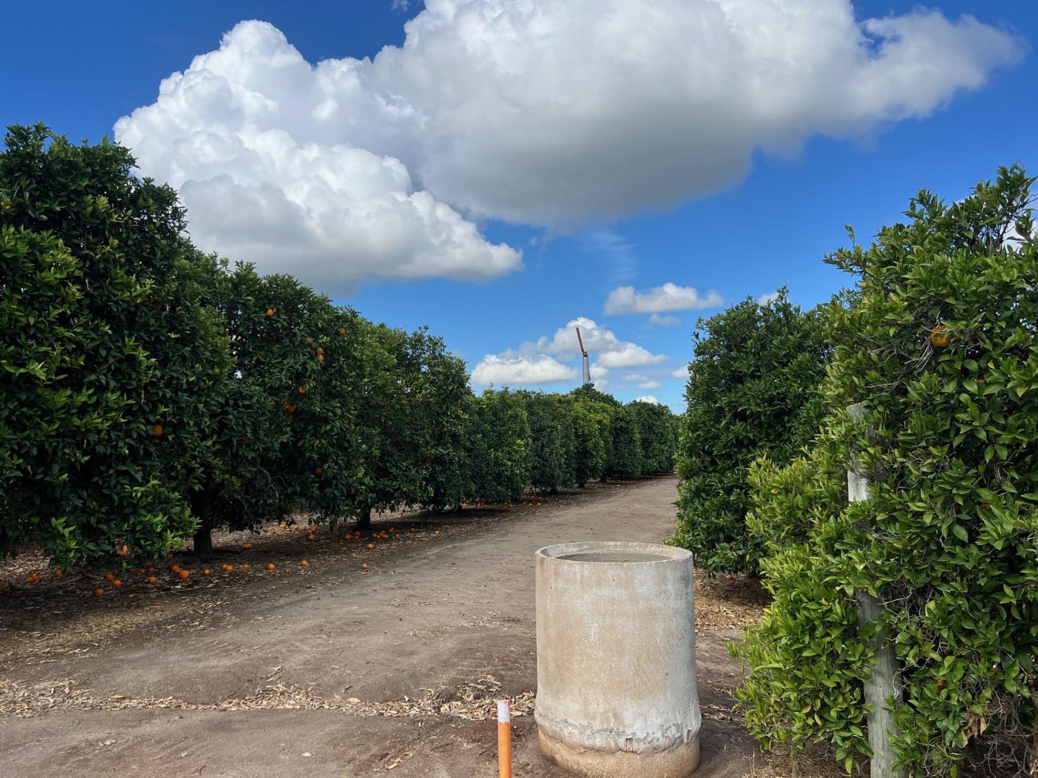 36442 Road 172, Visalia, CA 93292