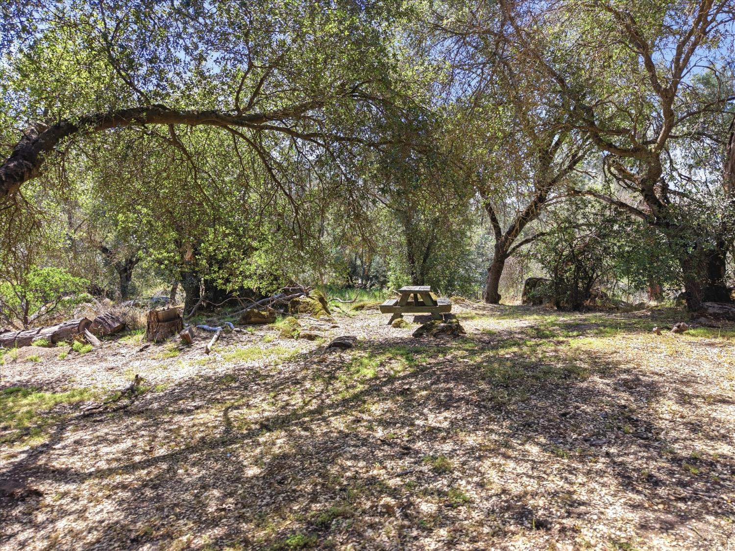 42704 Deep Forest Dr, Coarsegold, CA 93614