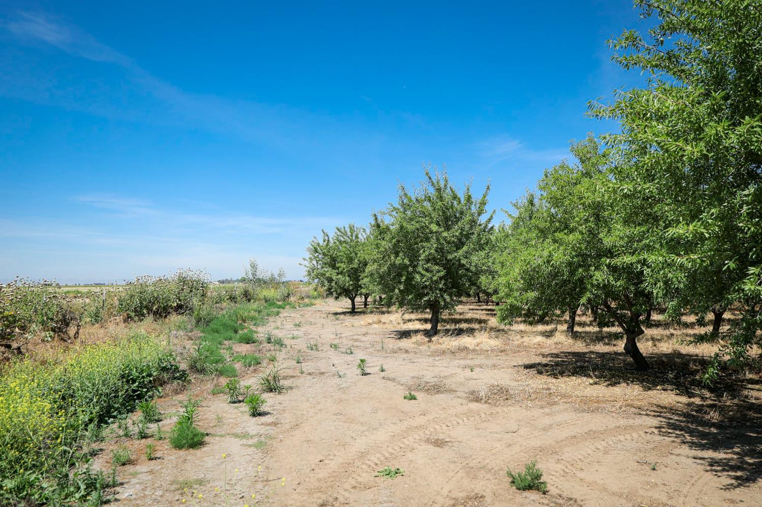 0 0 Thorton Rd, Merced, CA 95341