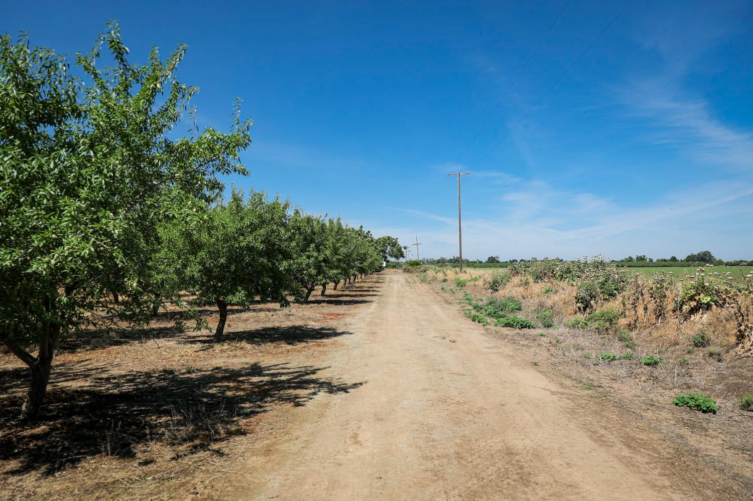 0 0 Thorton Rd, Merced, CA 95341