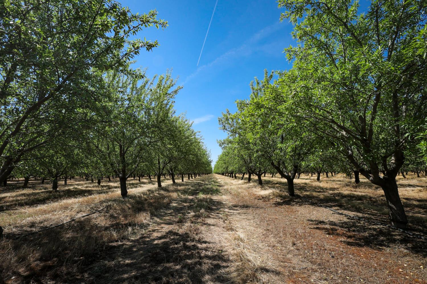0 0 Thorton Rd, Merced, CA 95341