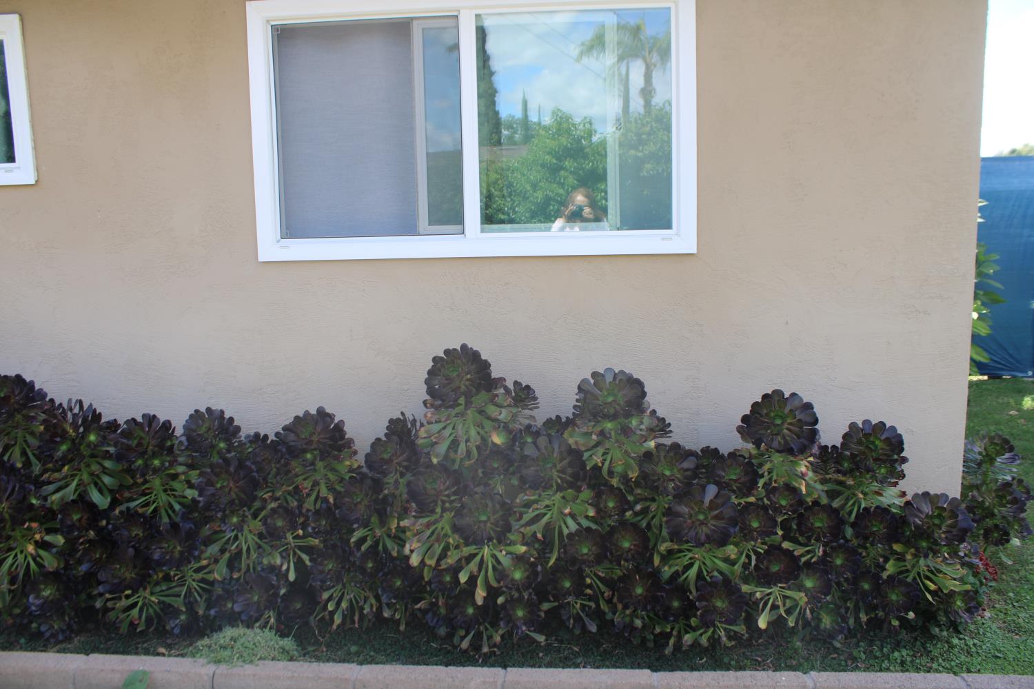 1312 N Gowdy St, Visalia, CA 93292