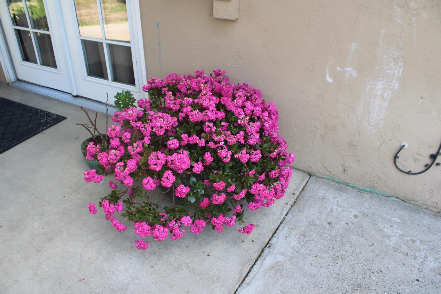 1312 N Gowdy St, Visalia, CA 93292