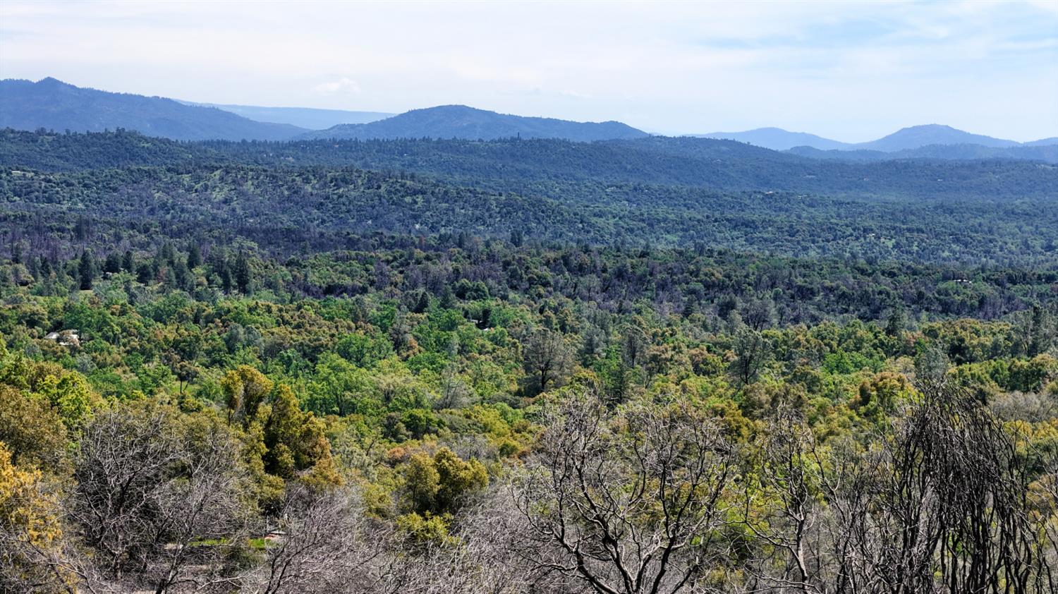 4632 Triangle Rd, Mariposa, CA 95338