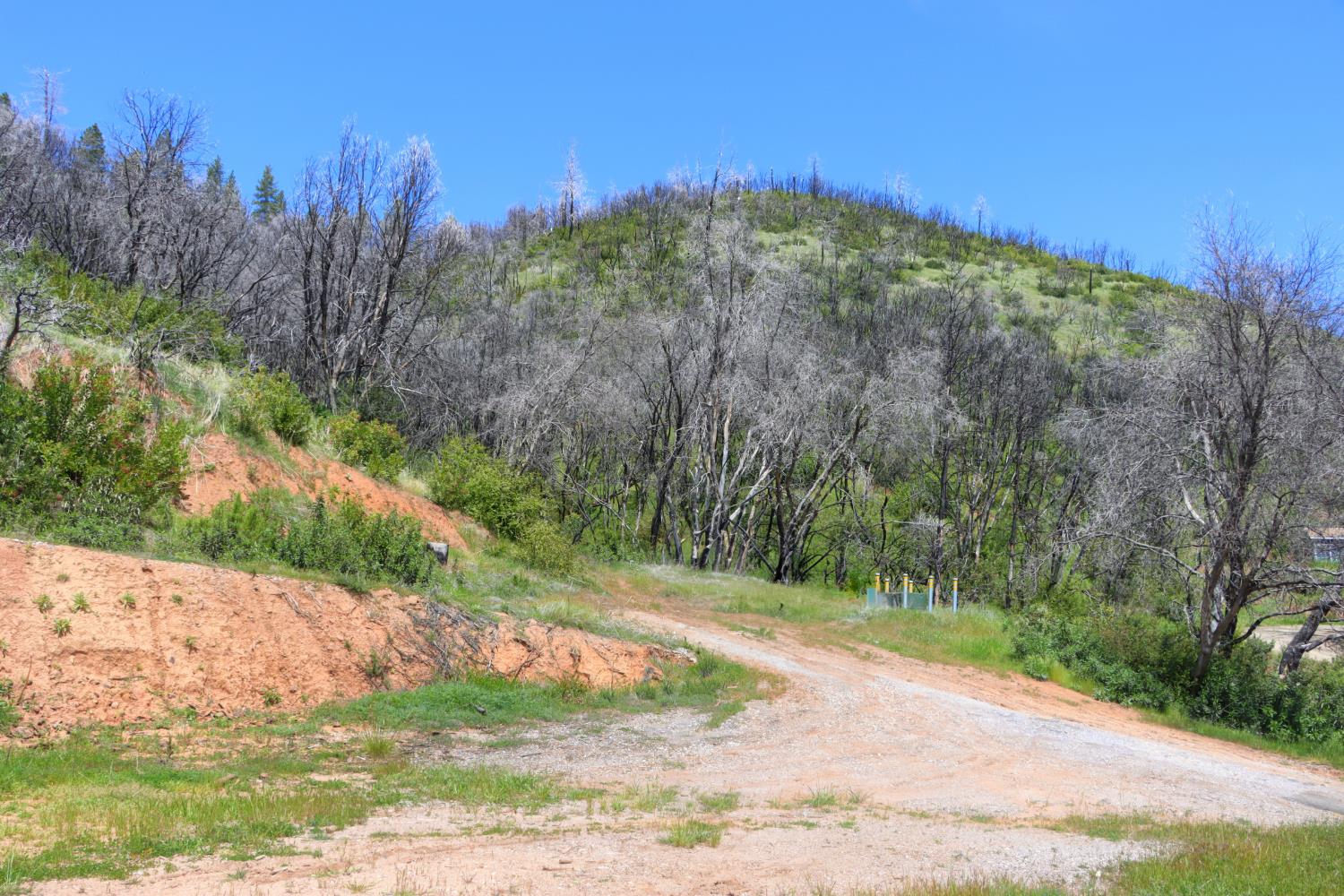 4632 Triangle Rd, Mariposa, CA 95338