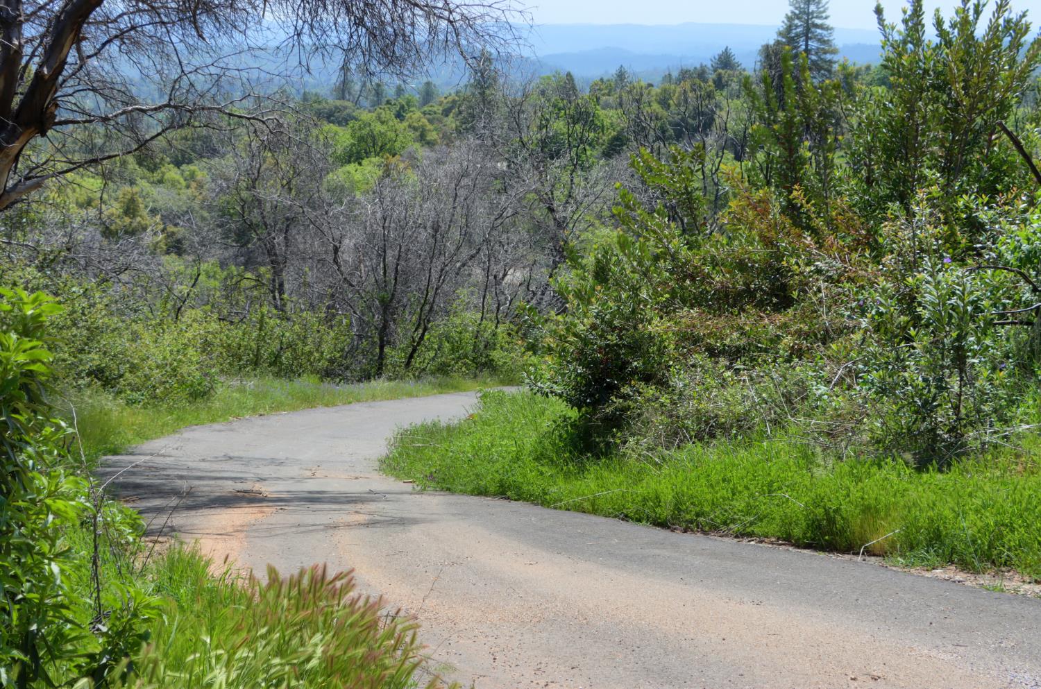 4632 Triangle Rd, Mariposa, CA 95338